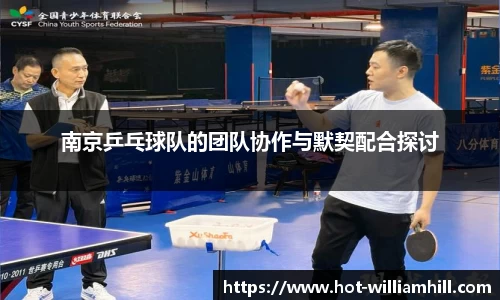 南京乒乓球队的团队协作与默契配合探讨